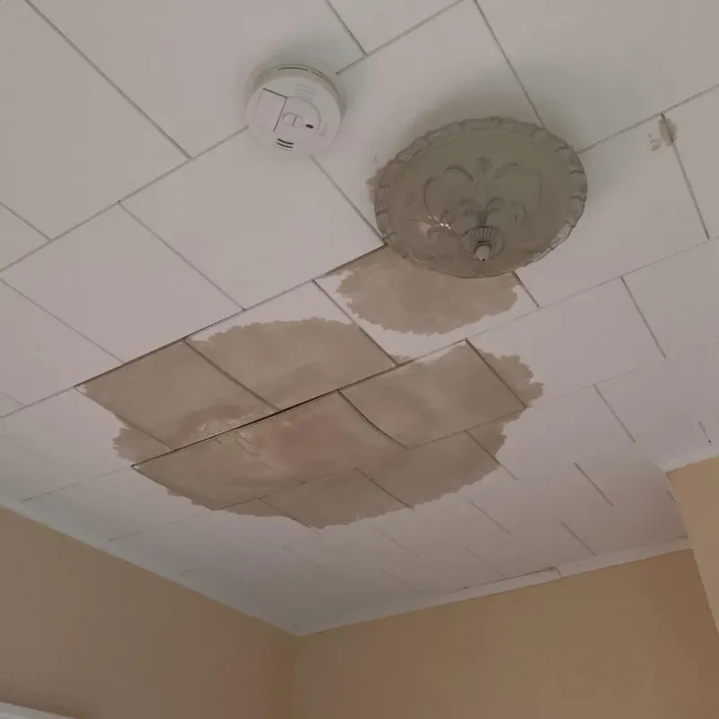 Ceiling Water Damage Repair in Potsdam, NY